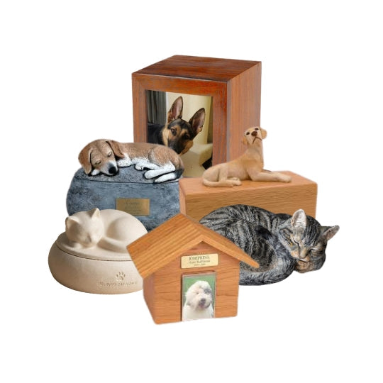 Pet Urns