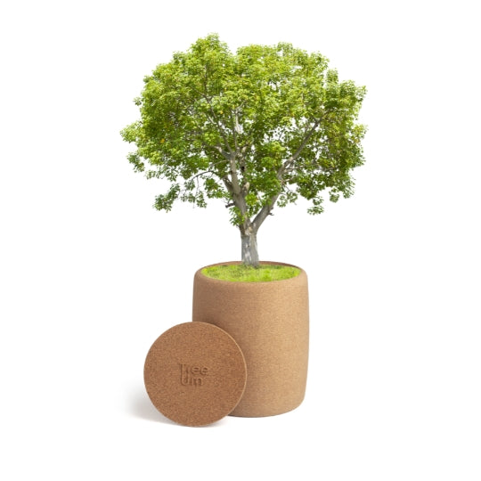 Tree Urn L | Living Urn | Cremation tree pod | Cremation tree