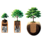 Tree Urn S | Living Urn | Cremation tree pod | Cremation tree