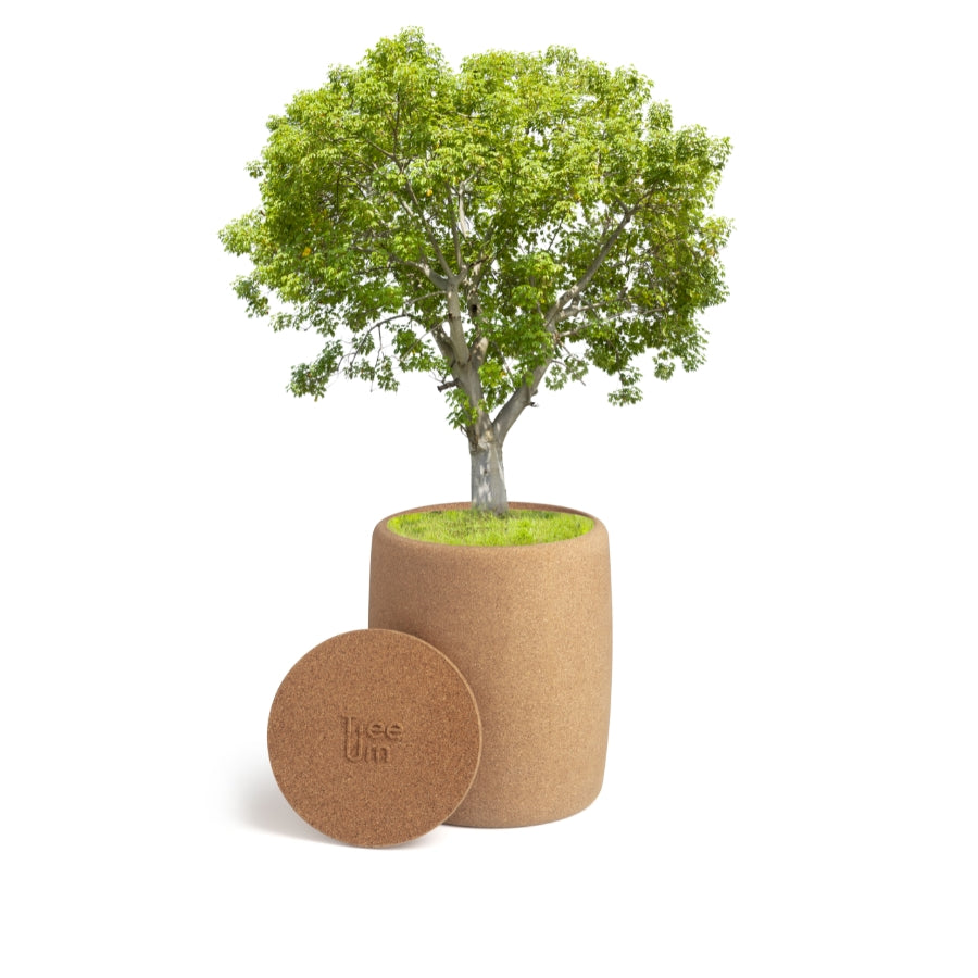 urn with tree of life