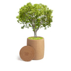 urn with tree of life
